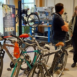 Fahrräder in einem Verkaufsraum