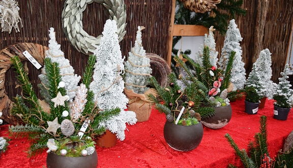 weihnachtliche Pflanzendekoration